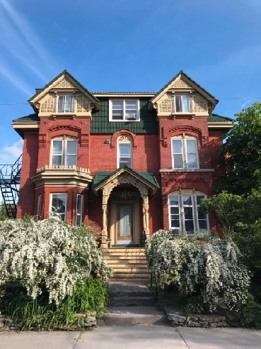 Ottawa Centretown Luxury Executive 1 bedroom Apartment –big yard Image# 1