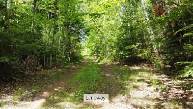OFF GRID ACREAGE FOR SALE IN FLAT RIVER, PEI Image# 2