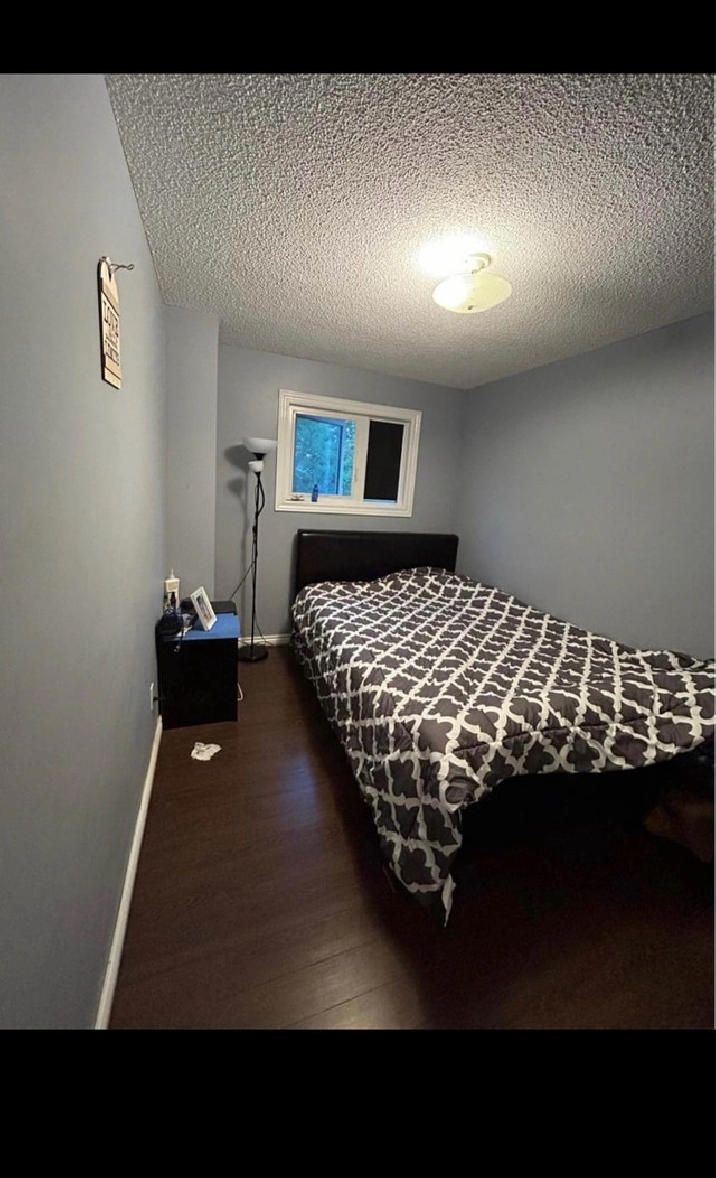 One bedroom available from 1st February in Winnipeg,MB - Room Rentals & Roommates