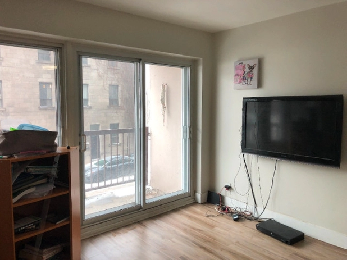 Pet-Friendly Plateau Lease Transfer in City of Montréal,QC - Room Rentals & Roommates