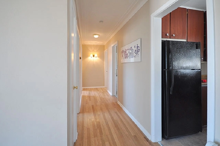 Large 6 bedroom single house - University Students May 1 in Ottawa,ON - Apartments & Condos for Rent