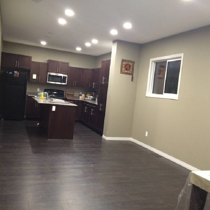 House in Walker Lakes SW for Rent from 1st March in Edmonton,AB - Apartments & Condos for Rent