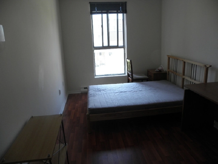 single room near UTSC, Centenial college in City of Toronto,ON Room