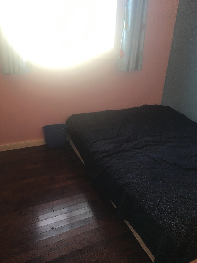 Single Room for Rent in Calgary,AB - Room Rentals & Roommates
