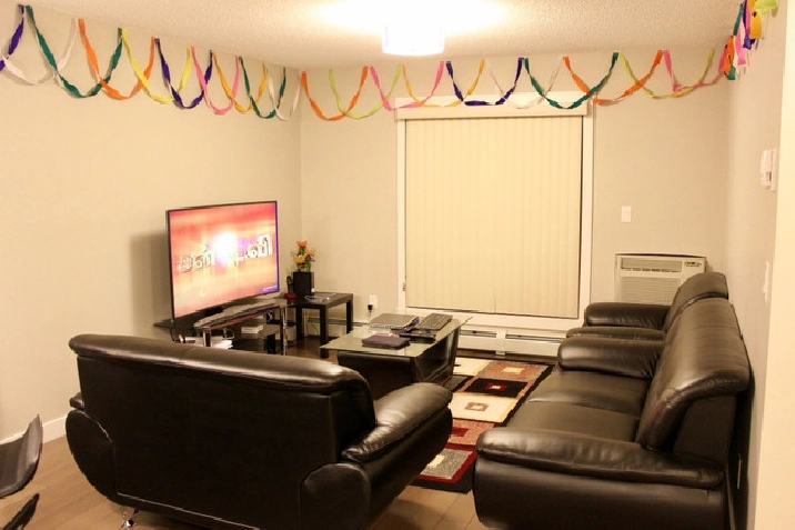 Furnished 2BD 2BTH Condo for Rent from Mar 01 in Edmonton,AB - Apartments & Condos for Rent