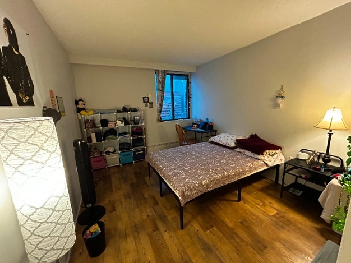 2 bed 1 bath apartment in City of Halifax,NS - Room Rentals & Roommates