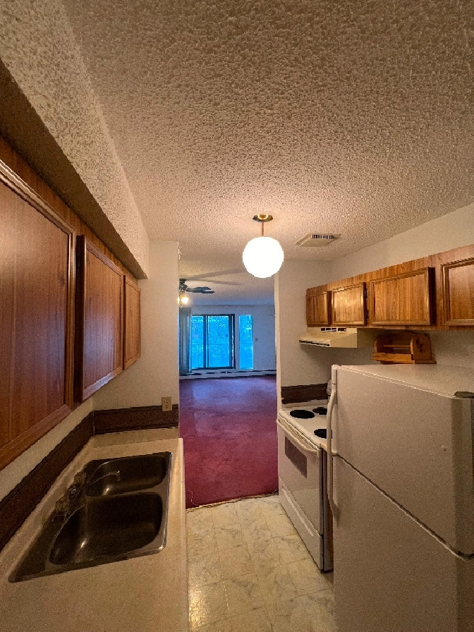 Cozy 1 Bedroom Apartment in Bridgeland. CLOSE TO DOWNTOWN. in Calgary,AB - Apartments & Condos for Rent