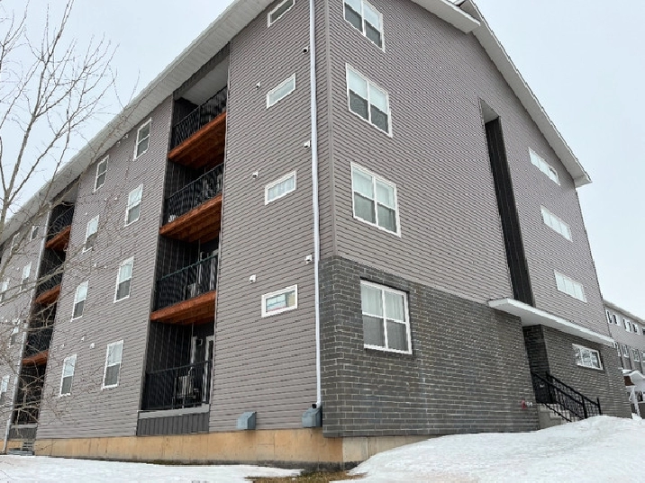 514 Priestman St. 2 bedroom, one bath, Available April 1st in Fredericton,NB - Apartments & Condos for Rent