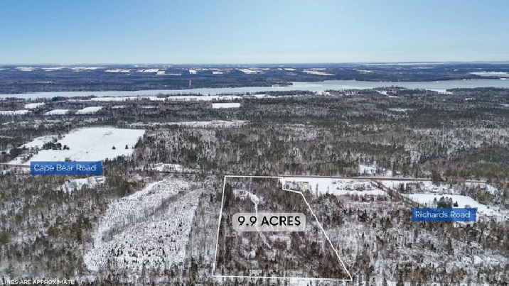 9.9 ACRES FOR SALE MURRAY HARBOUR $49,900! in Charlottetown,PE - Land for Sale