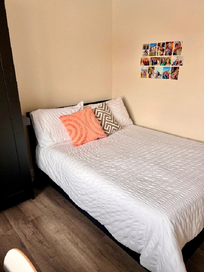 Room for Rent in Sandy Hill (Summer Sublet) in Ottawa,ON - Room Rentals & Roommates