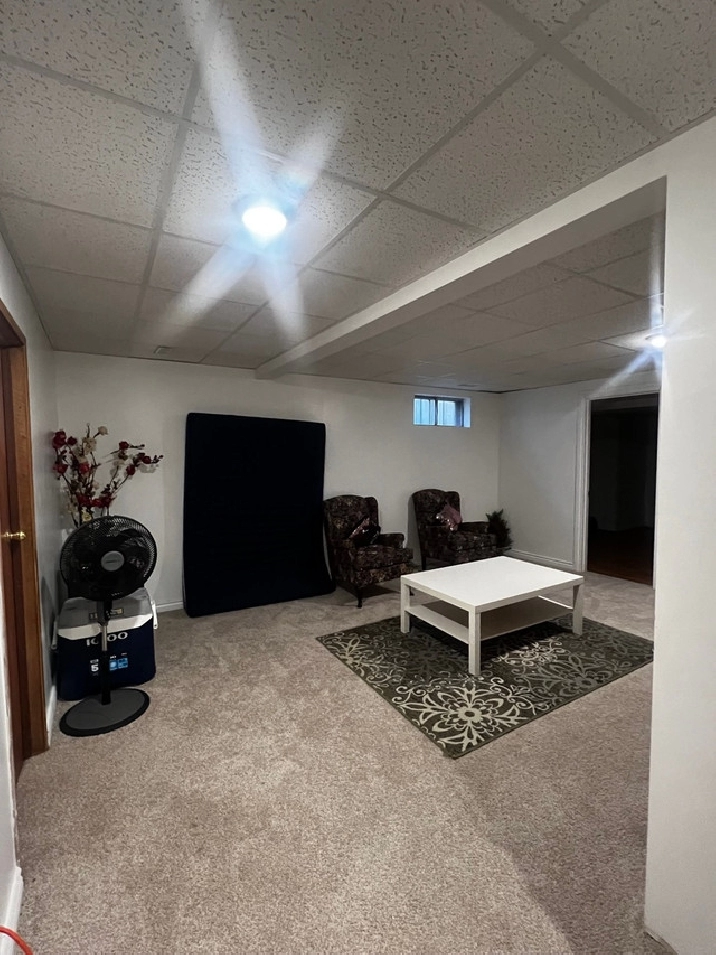 2 Bedroom WALKOUT and NEWLY RENOVATED basement in Calgary,AB - Apartments & Condos for Rent