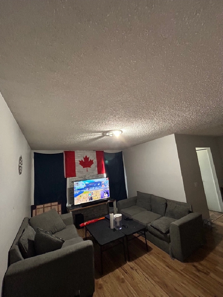 Three bedroom house available for rent in Winnipeg,MB - Room Rentals & Roommates