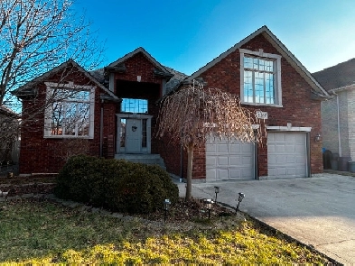 Basement for rent in South Windsor Image# 1