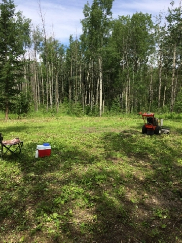 Land for Sale - 1/4 Section North of Valleyview Alberta Image# 1