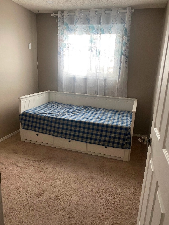 Rooms for rent in Castleridge for Punjabi family or girls only in Calgary,AB - Room Rentals & Roommates