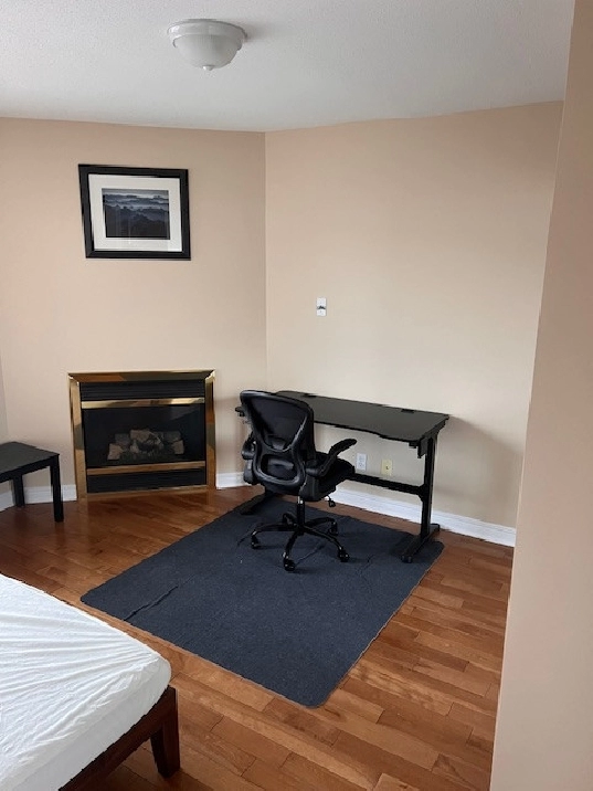 1 MAR - Female Mature Students - Furnished Room at Bank/Walkley in Ottawa,ON - Room Rentals & Roommates