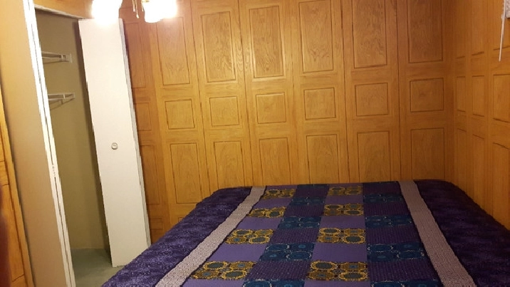 Room on rent or Paying guest - pure veg in Edmonton,AB - Room Rentals & Roommates