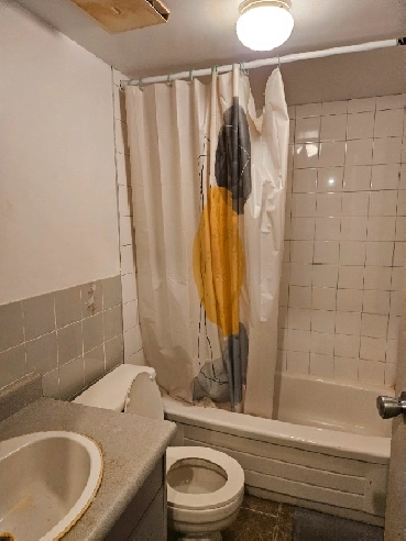 1270 Hollis st 1 bedroom 1600.00 Image# 1