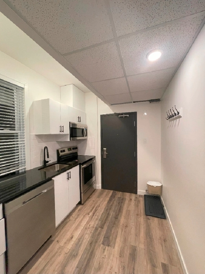 Furnished one-bedroom apartment Near Ottawa University Sandyhill in Ottawa,ON - Room Rentals & Roommates