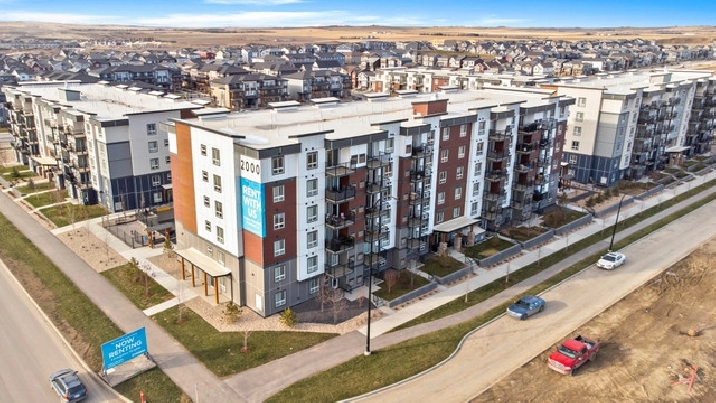Pet-Friendly Two Bedroom One Bath with In-suite Laundry for Rent in Calgary,AB - Apartments & Condos for Rent