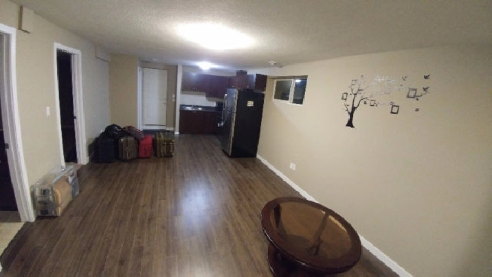 Clean & affordable! Basement in Laurel Area in Edmonton,AB - Apartments & Condos for Rent