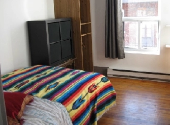 Colocation  / Flate mate