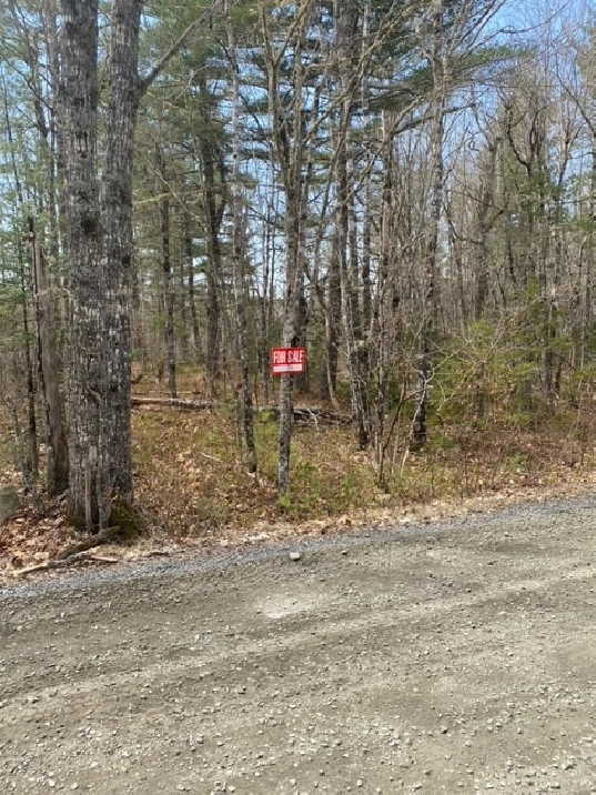1.2 Acre lot Molega Lake North, Queens County in City of Halifax,NS - Land for Sale