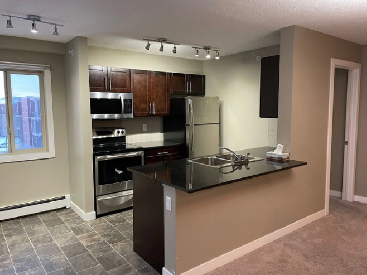 Beautiful & Spacious 2 Bed/2 Bath Lakefront Corner Unit in Calgary,AB - Apartments & Condos for Rent