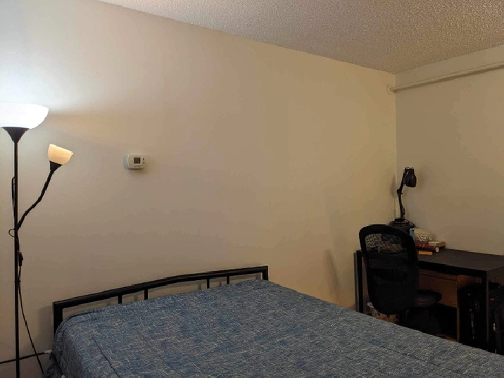Looking for a roommate to share a 3 bedroom apartment in City of Halifax,NS - Apartments & Condos for Rent