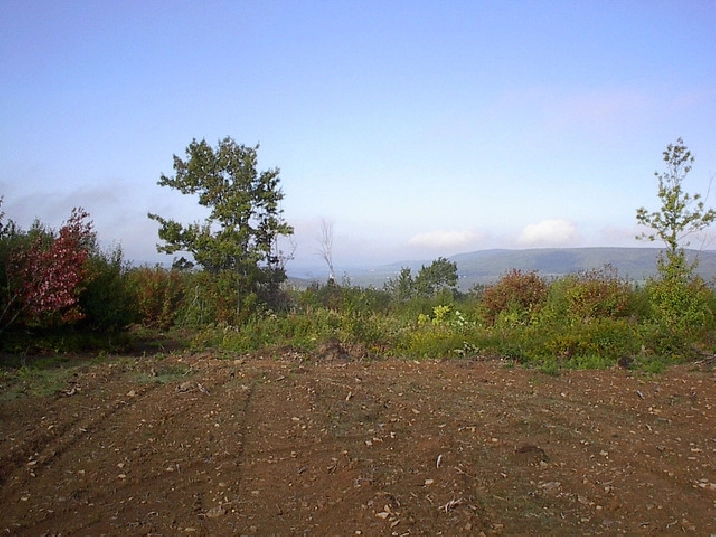 Cape Breton land for sale in Cape Breton,NS Land for Sale