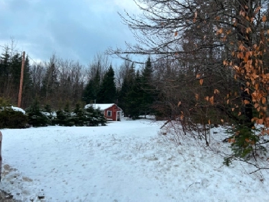 Terrains boisés à vendre (St-Isidore-de-Clifton) Image# 1