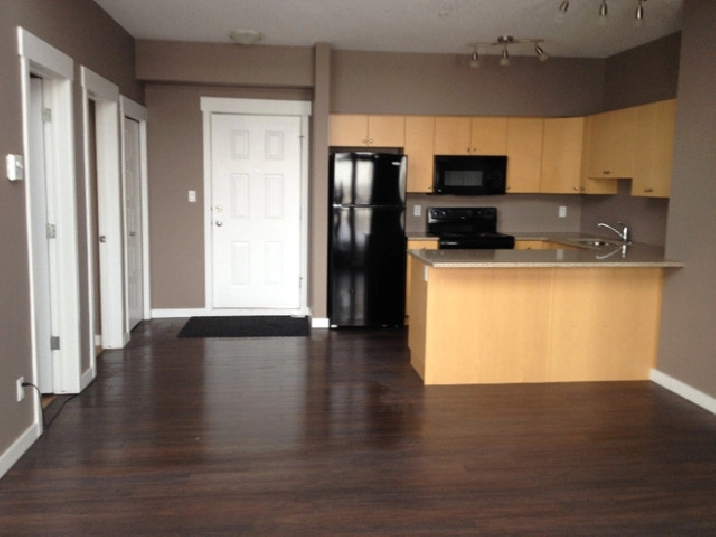 Penthouse-2 bedroom, 2 bathroom - Grant MacEwan Area in Edmonton,AB - Apartments & Condos for Rent