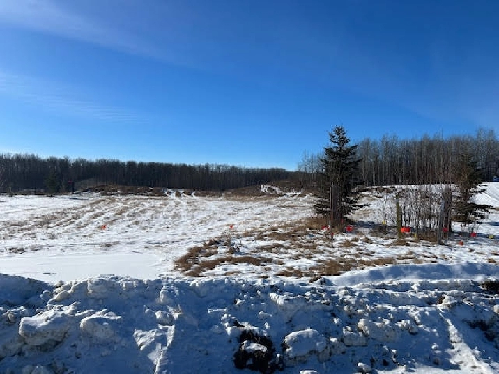 2.03 ACRE LOT IN HILLS OF TWIN LAKES! in Edmonton,AB - Land for Sale
