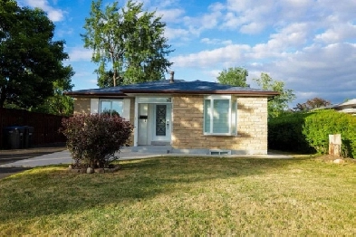 Single Studio For Rent in Brampton (Bramalea City Centre - 475$) Image# 1