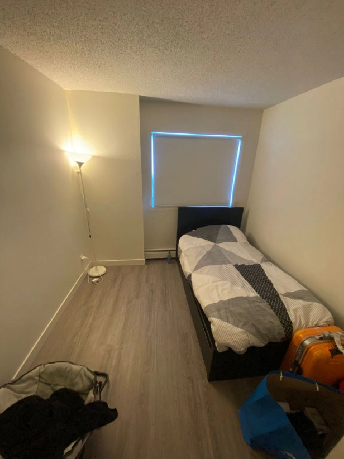 Looking for a Roommate in Brentwood in Calgary,AB - Room Rentals & Roommates