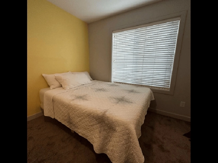 Private room in McConachie Way NW, Edmonton! Furnished Utils! in Edmonton,AB - Room Rentals & Roommates