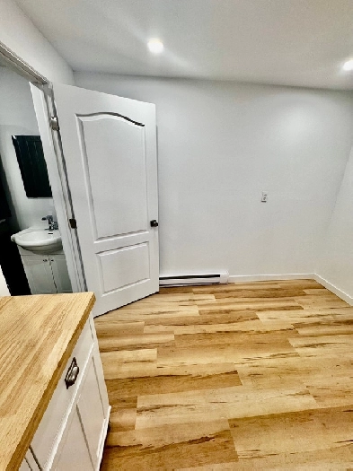 One bedroom apartment in Montreal (central DDO)