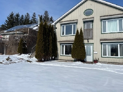 One Bedroom 10 minutes from Honda-$700 Image# 1