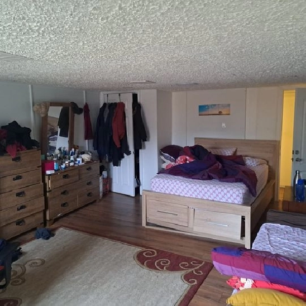 1 Bed 2 Baths House in City of Toronto,ON - Room Rentals & Roommates