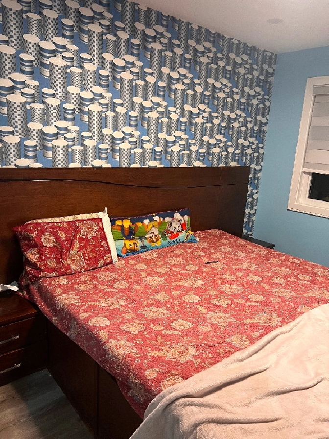 House for rent in Delta/Surrey/Langley,BC Apartments & Condos for Rent