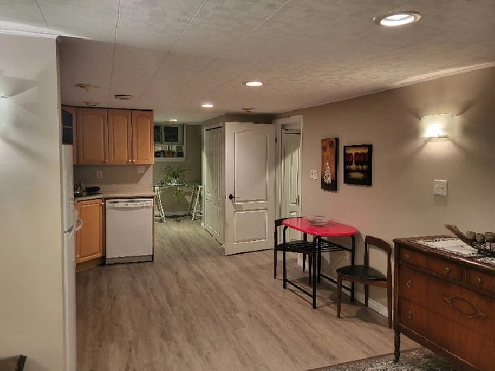 Basement Bachelor suite in EK for rent in Winnipeg,MB - Apartments & Condos for Rent