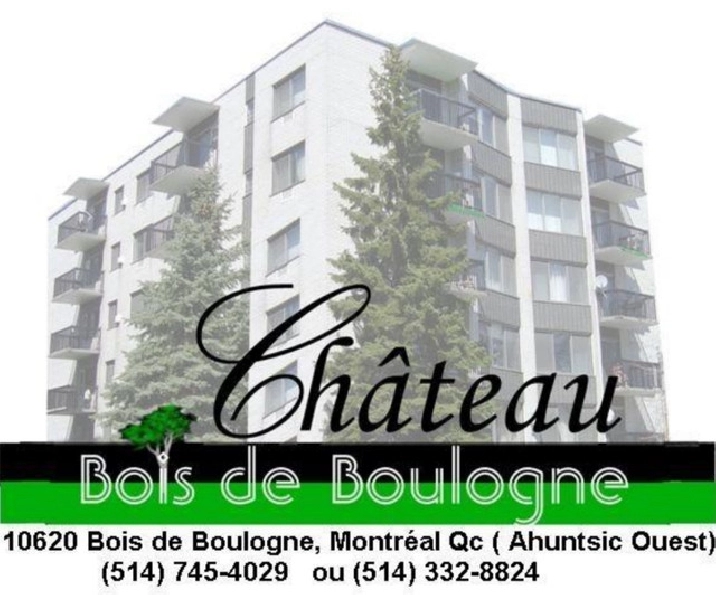 UNIQUE 4 1/2 avec 2 salles de bain BETON Bois Franc REPEINT in City