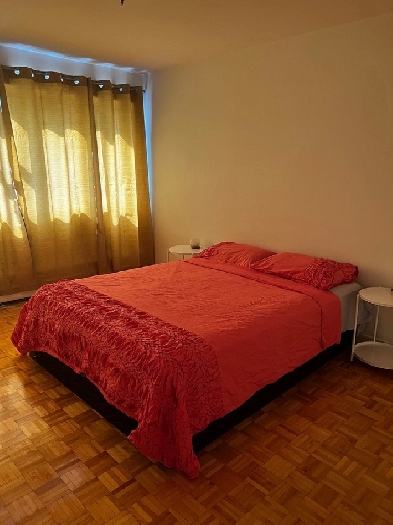 1 bedroom apartment in Downtown Montreal Image# 1