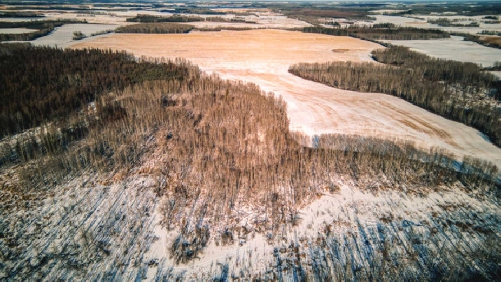 Recreational & Grain Quarter Section Rural Lac Ste. Anne County in Edmonton,AB - Land for Sale