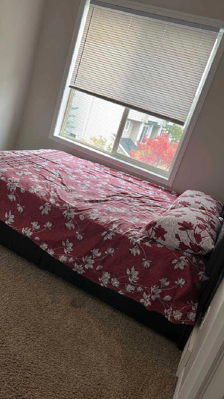Room for rent in Calgary,AB - Room Rentals & Roommates