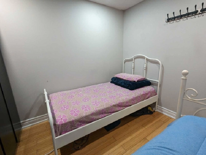 Sharing room with Indian girl for rent in n newly renovated pl in City of Toronto,ON - Room Rentals & Roommates