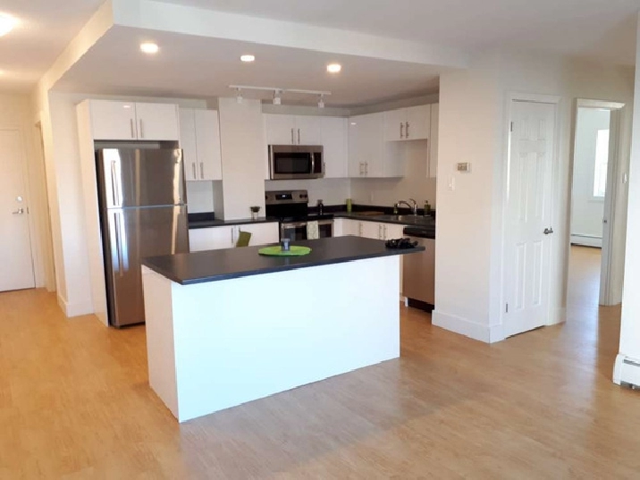 CARLETON TOWERS// BEAUTIFUL, NEWLY RENOVATED 1 BDRM! APRIL 15. in Saint John,NB Apartments