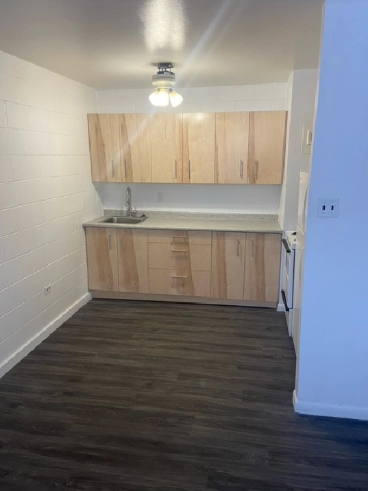 Affordable Studio Suite Available for Rent 55 Apartment in Winnipeg,MB - Short Term Rentals