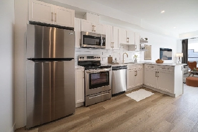 Modern 1 Bedroom Apartment for Rent in West Broadway! Image# 8