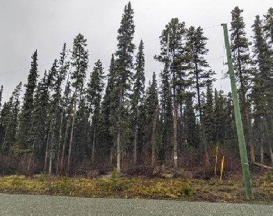 Private Sale of Residential Lot in Teslin Image# 1